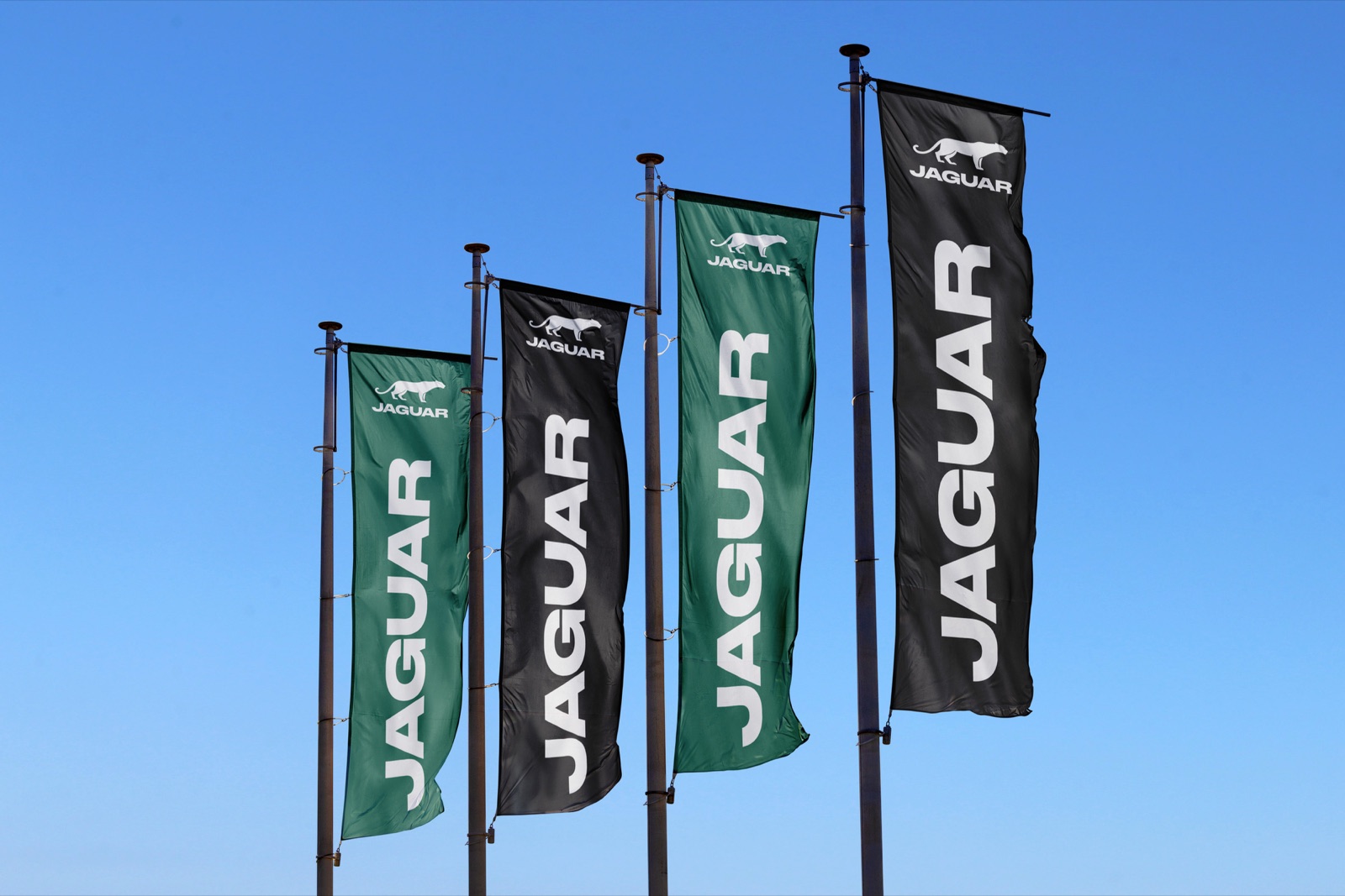 Drapeau Jaguar